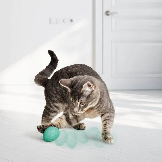 Kong® SPRING Infused™ Catnip Egg Cat Toy