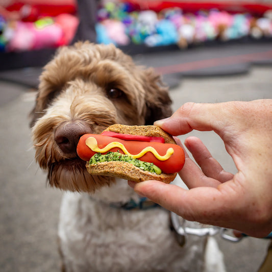 3D Hot Dog Cookie