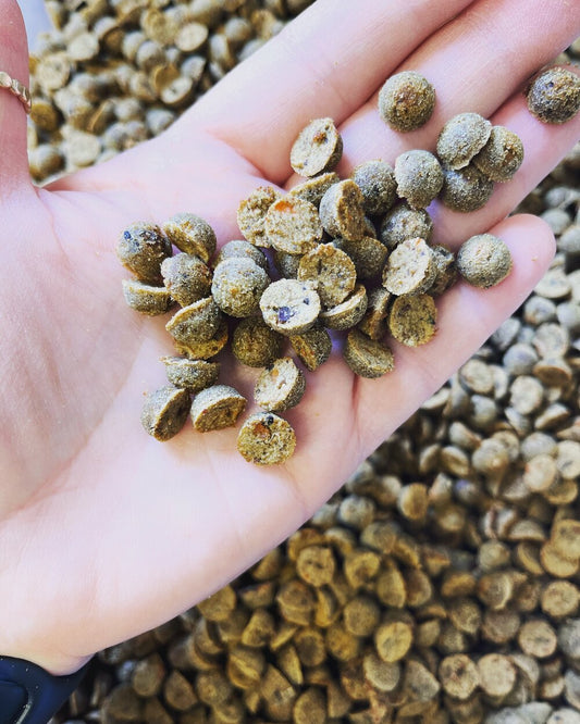 TheBark Lamb and Carrot Training Treat