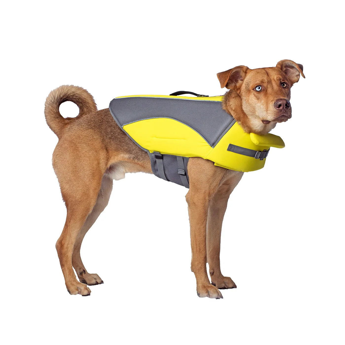 CANADA POOCH® Wave Rider Life Jacket