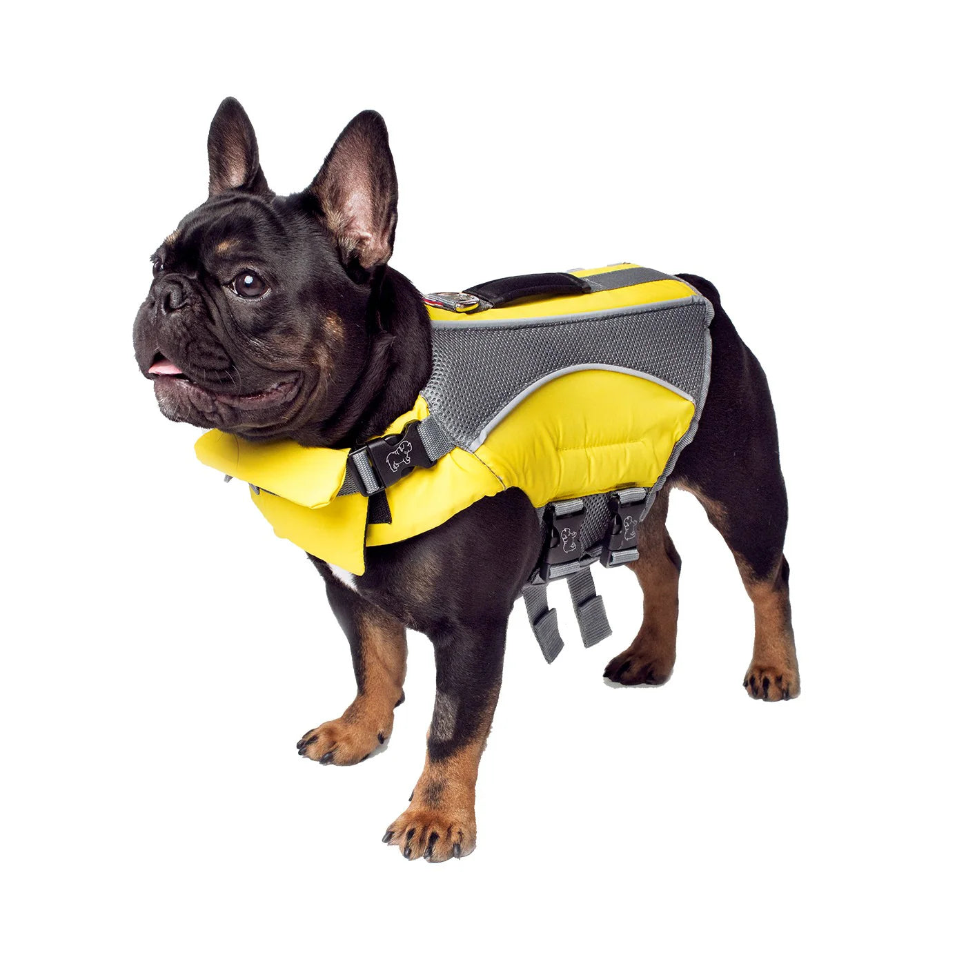 CANADA POOCH® Wave Rider Life Jacket