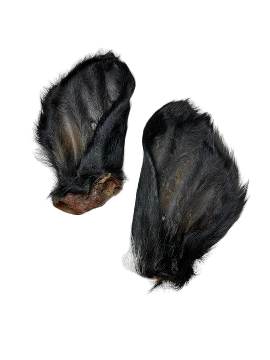 Natural Dehydrated Jumbo Cow Ear