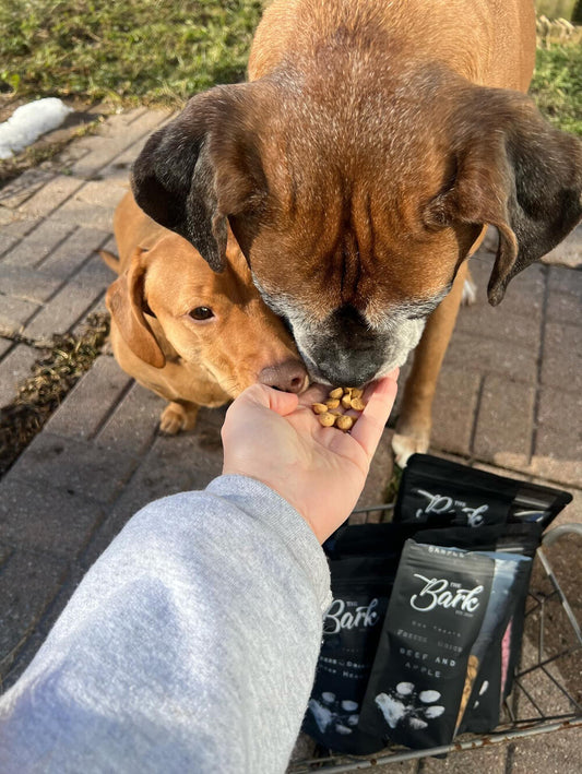 TheBark Freeze Dried Beef and Apple