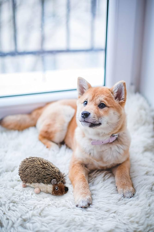 Outward Hound® Hedgehogz Small