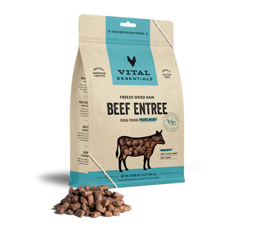 Vital Essentials + KONG