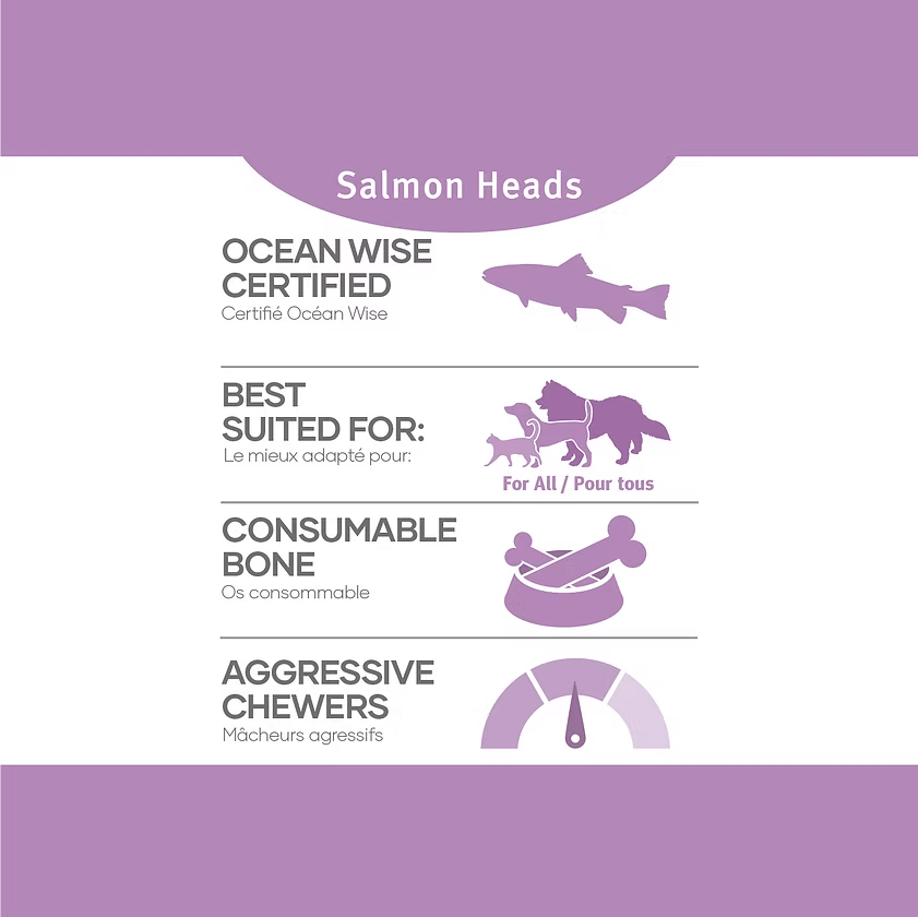 RDBK Raw Frozen Salmon Heads