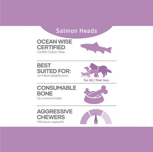 RDBK Raw Frozen Salmon Heads