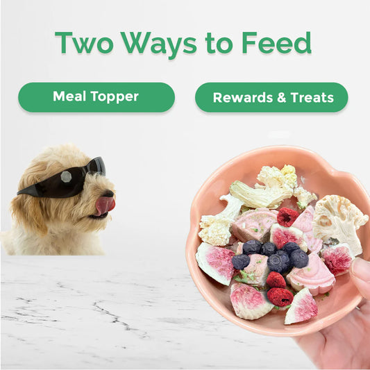 Loopy Paws – Harvest Crunchy – Cauliflower, Blueberry, Raspberry – 30g