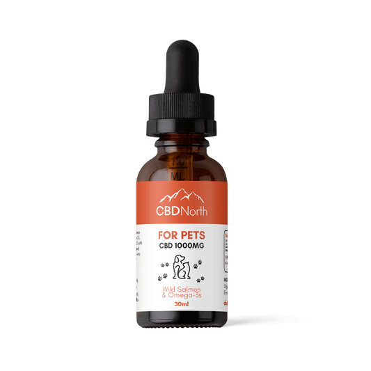 CBD North CBD Oil for Dogs