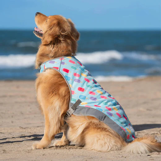Canada Pooch Chill Seeker Cooling Vest