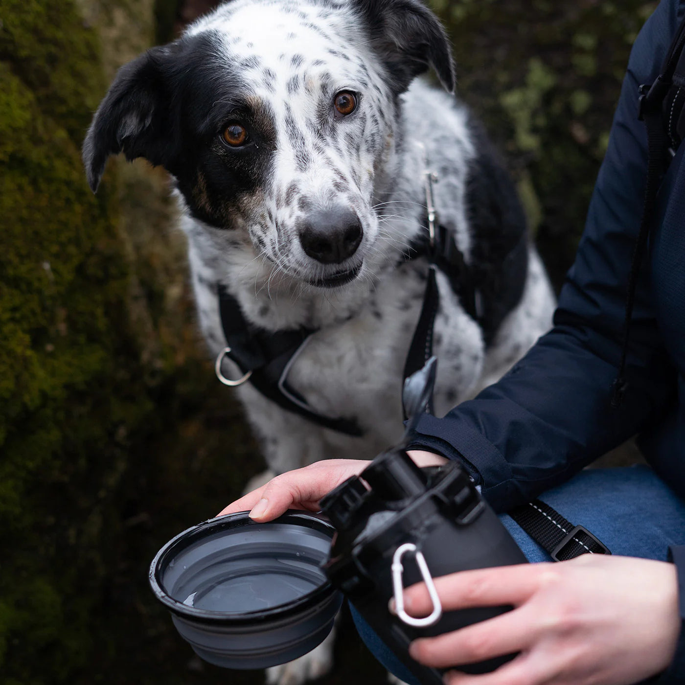 Muttluks Mut Travel Bottle