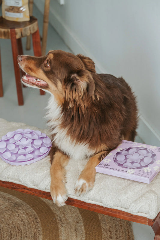 Dexypaws Lilac Silicone Snuffle Mat