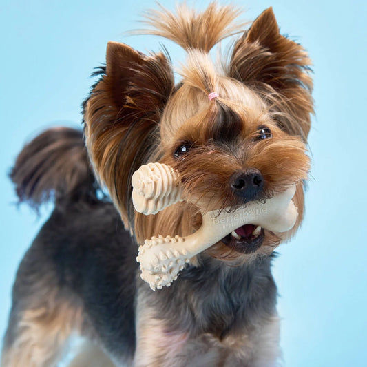 BetterBone Soft Density Classic Large Chew