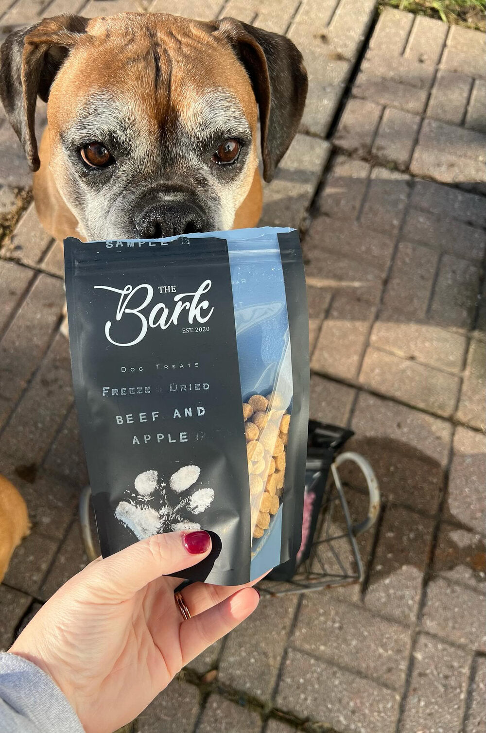 TheBark Freeze Dried Beef and Apple