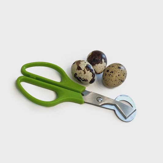 Quail Egg Scissors