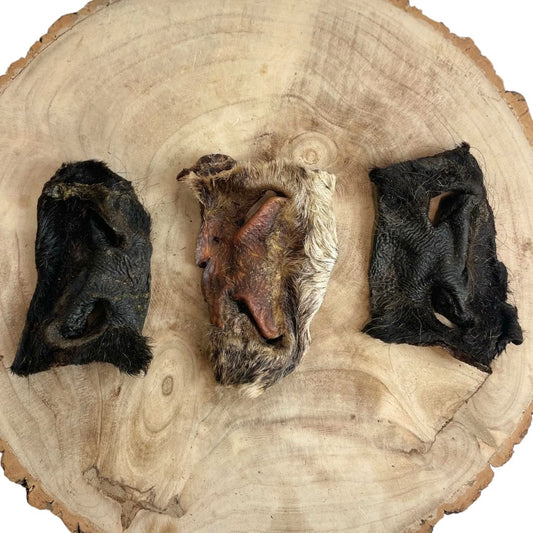 Dehydrated Beef Snout