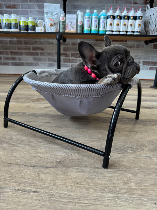 Mini Pet Bed