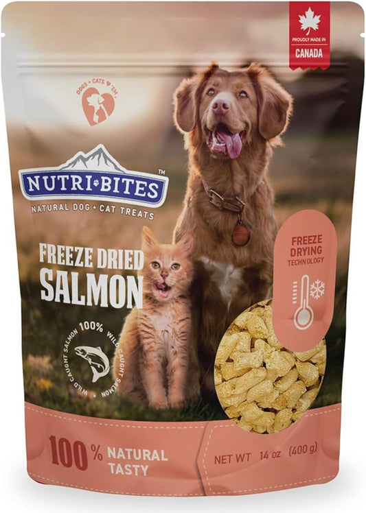 Freeze Dried Salmon