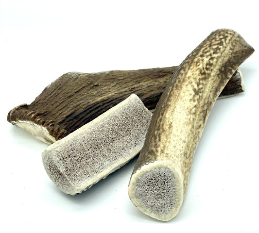 Premium Natural Elk Antlers