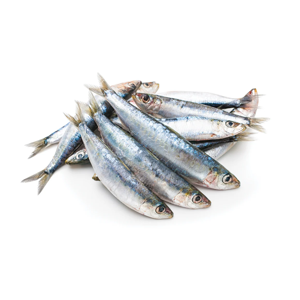 IronWillRaw Sardines