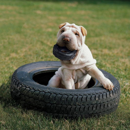 Kong Tire Toy