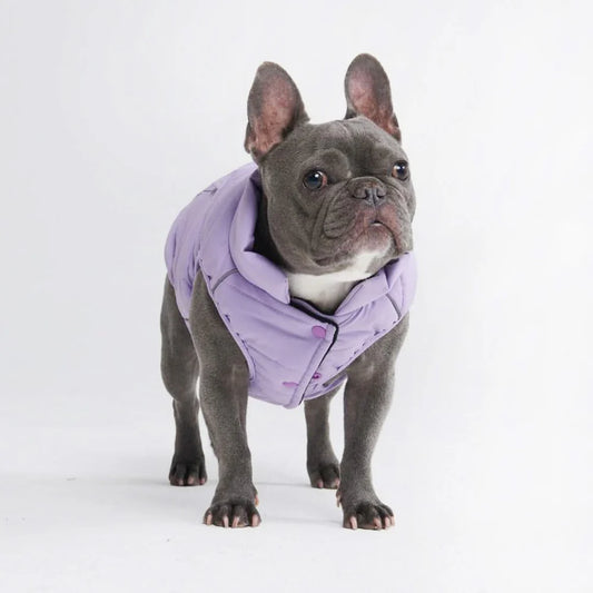 WarmShield Water-Resistant Jacket Lavender