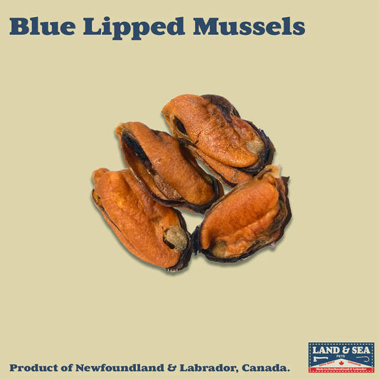 Blue Lipped Mussels 100 Grams