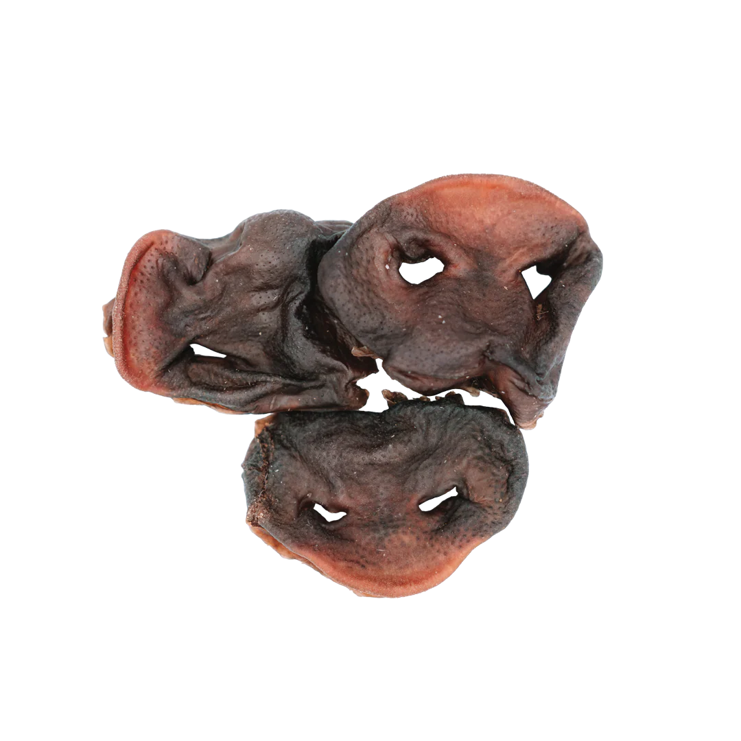 Dehydrated Pig Snout
