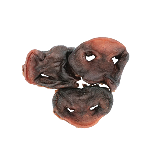 Dehydrated Pig Snout
