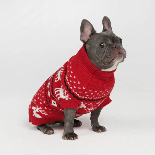 Dasher Knit Dog Sweater (Red)