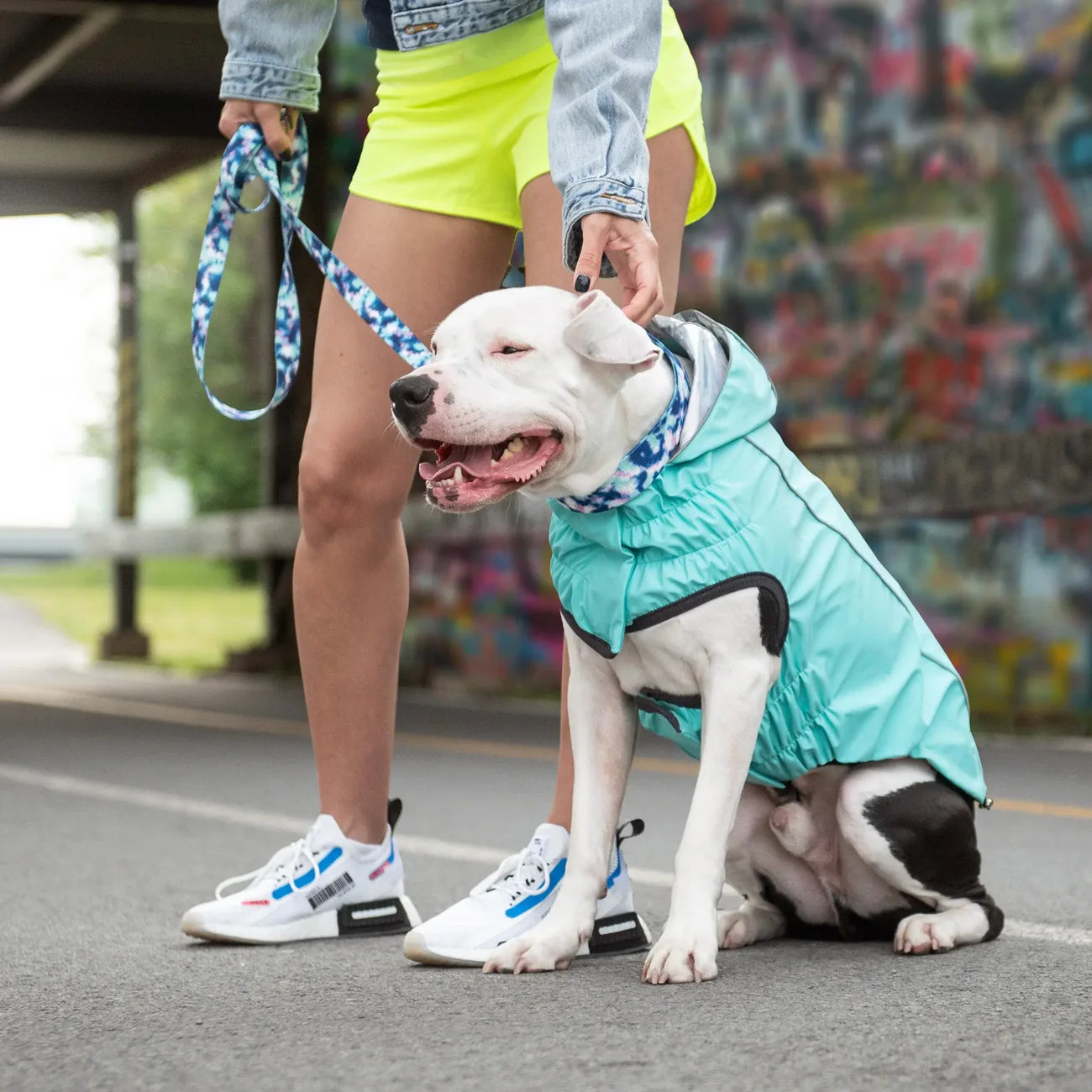 GFPet Reversible Rain Coat