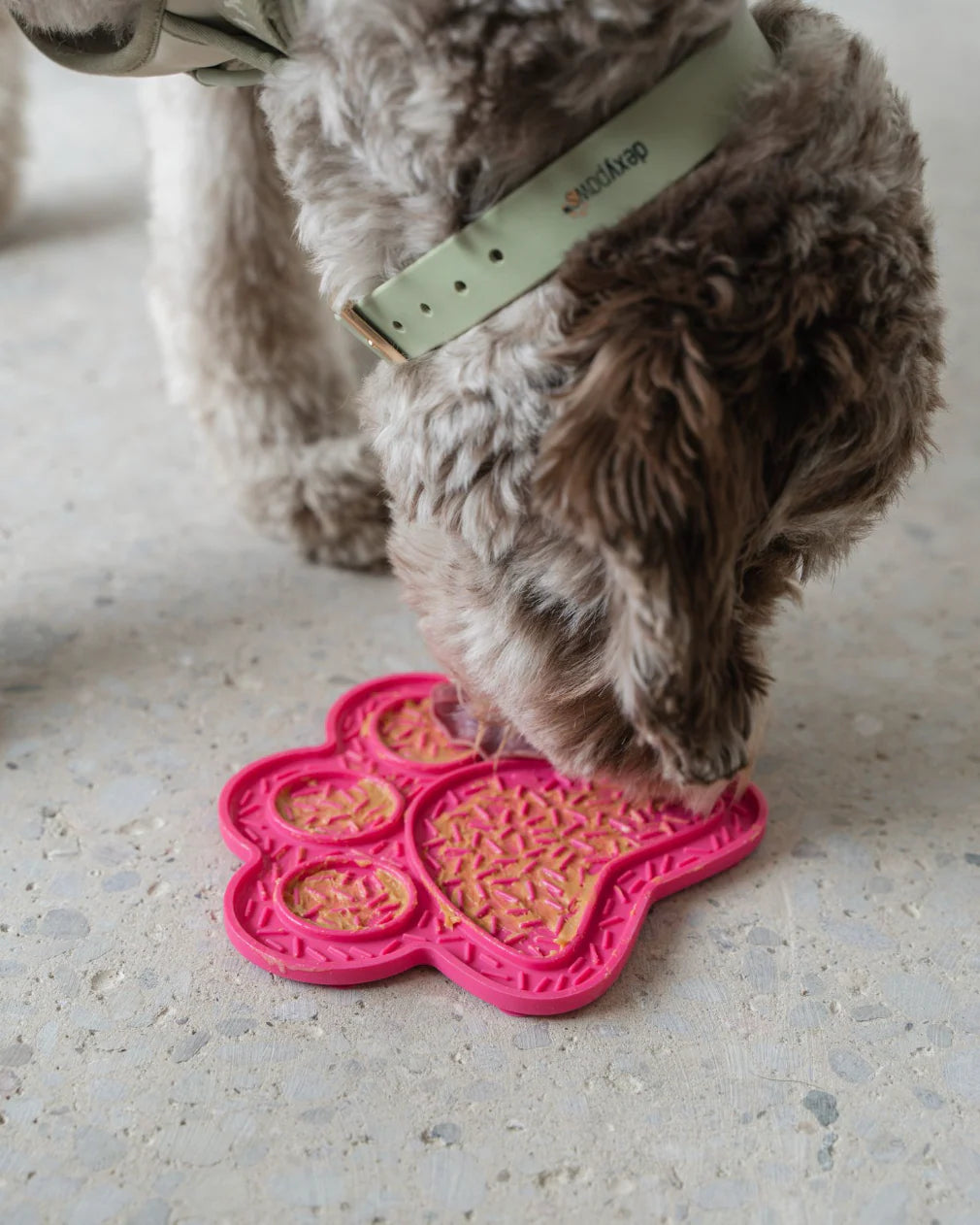 Dexypaws Paw Enrichment Licking Mat