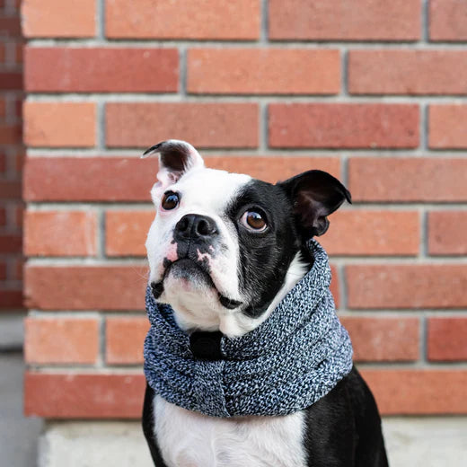 CanadaPooch Sierra Scarf Gey