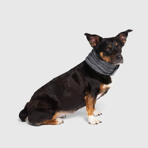 CanadaPooch Sierra Scarf Gey