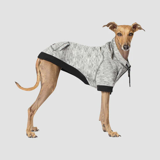 CANADA POOCH® HERO HOODIE DOG SWEATER GREY MIX