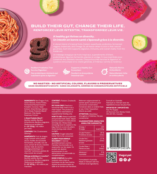 Gut + Dragon Fruit