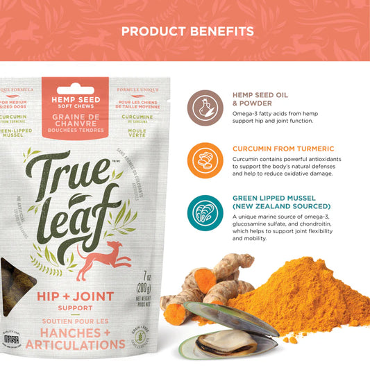 Trueleaf Hip + Joint Support Chews for Dogs (90g)
