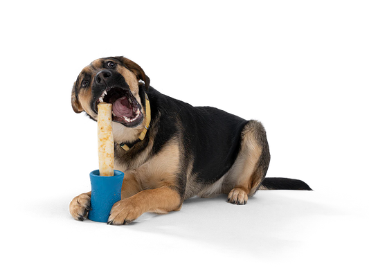 WestPaw Funnl Treat Holder