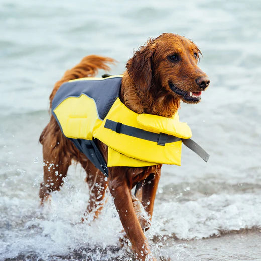CANADA POOCH® Wave Rider Life Jacket