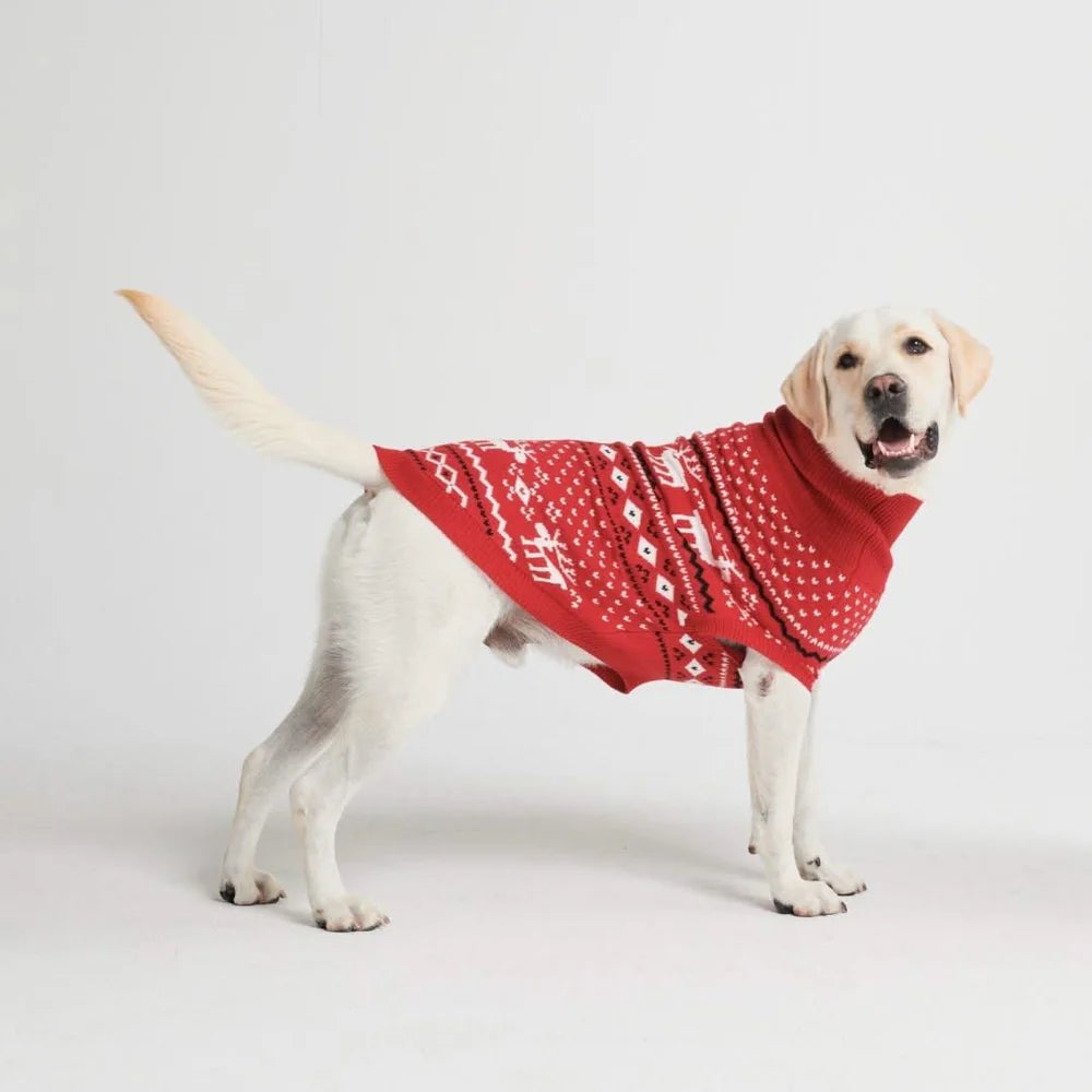 Dasher Knit Dog Sweater (Red)