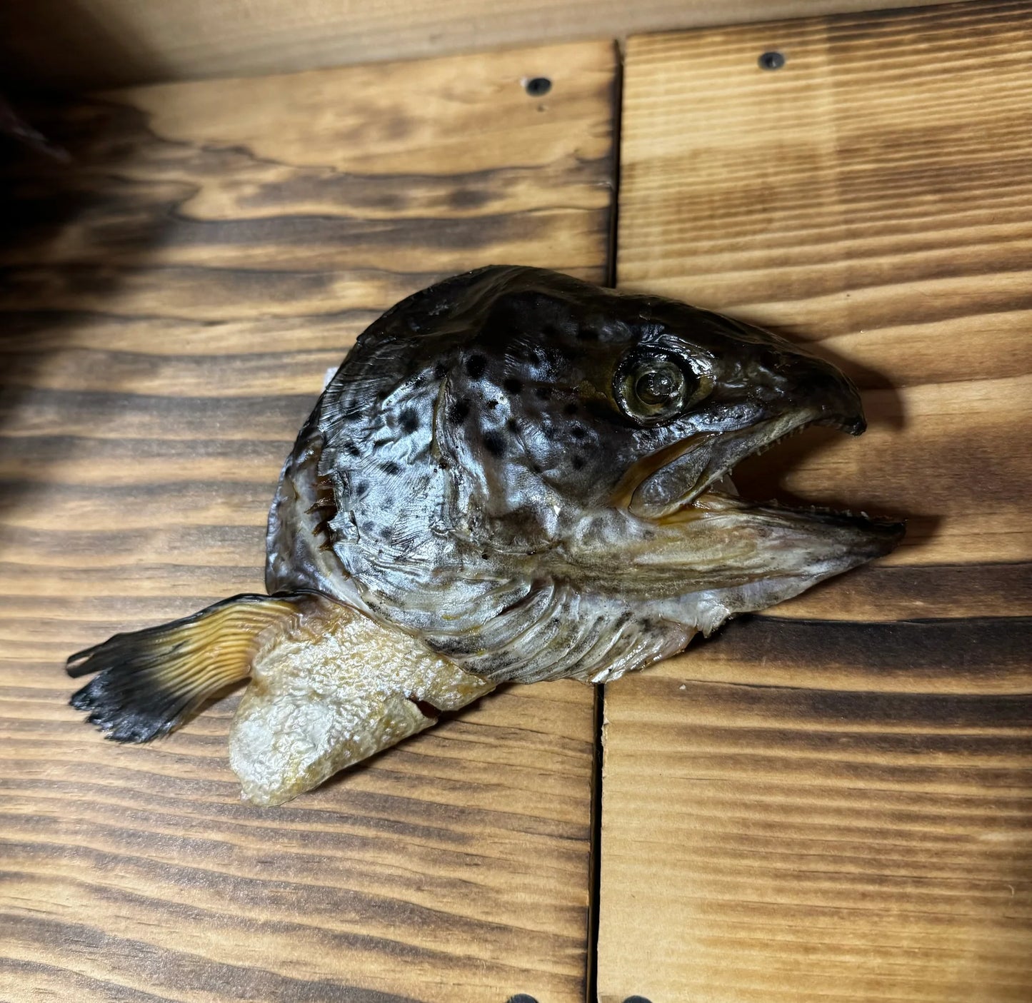 Dehydrated salmon heads - half