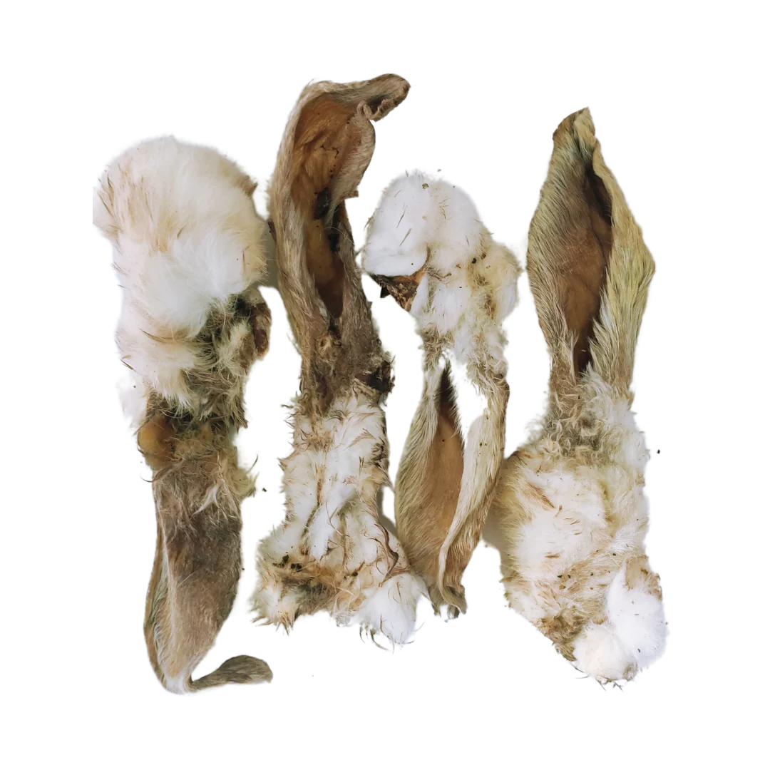 Jumbo Dehydrated Rabbit Ears