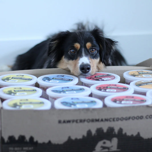 RawPerformance (singles)