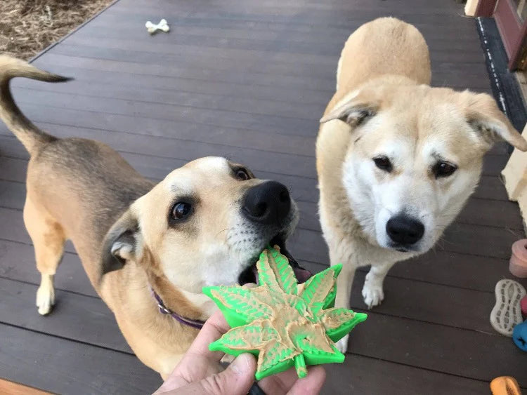 Colorado Leaf Durable Nylon Dog Chew Toy