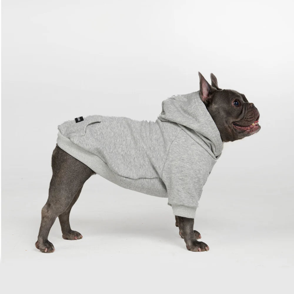 Essential Dog Hoodie - Light Grey