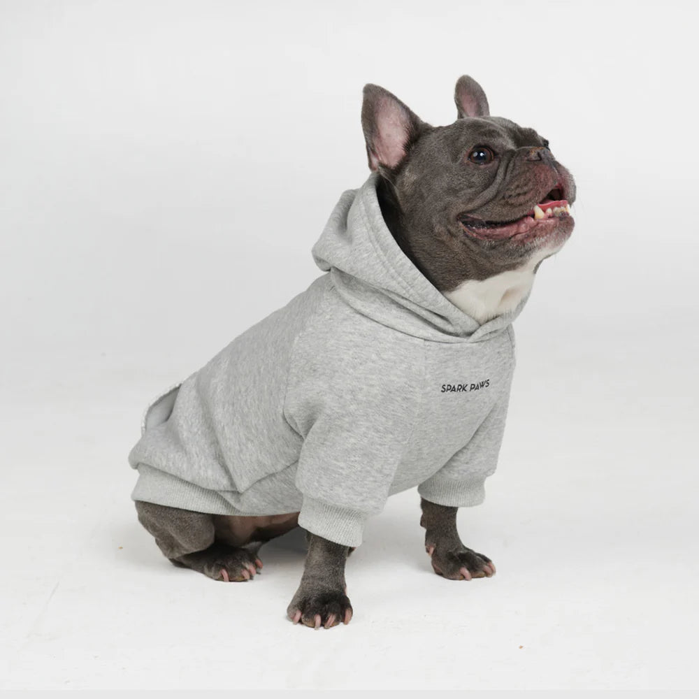 Essential Dog Hoodie - Light Grey