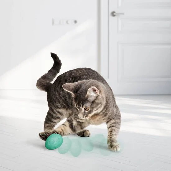 Kong® SPRING Infused™ Catnip Egg Cat Toy