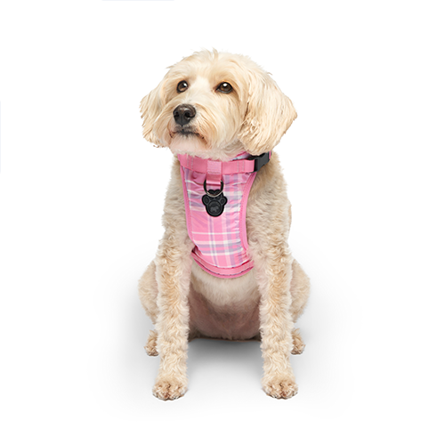 CANADA POOCH® THE EVERYTHING HARNESS PINK LAVENDER