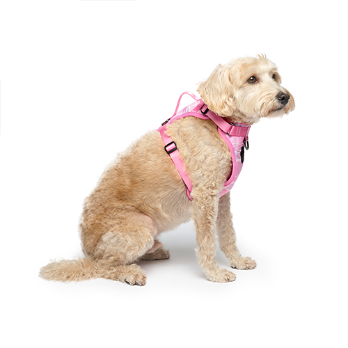 CANADA POOCH® THE EVERYTHING HARNESS PINK LAVENDER