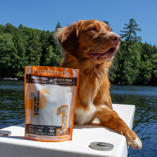 PureBites® Duck Freeze-Dried Dog Treats